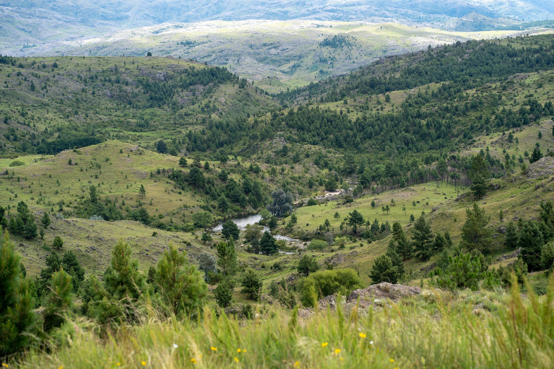 Valle de Punilla